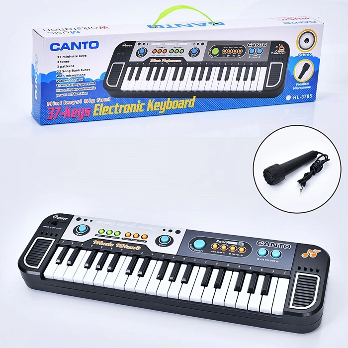 Піаніно-орган HL-3766FM оптом